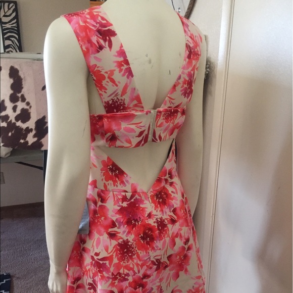 Felicity and coco new dress small size - Picture 2 of 6